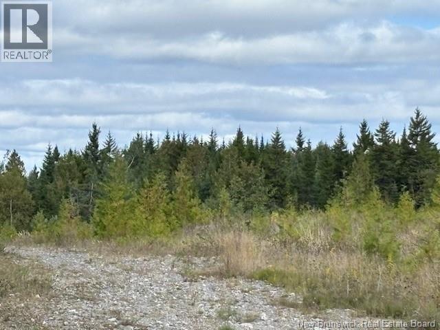 0 Latimore Lake Road, Saint John, New Brunswick  E2N 1X3 - Photo 7 - NB126714