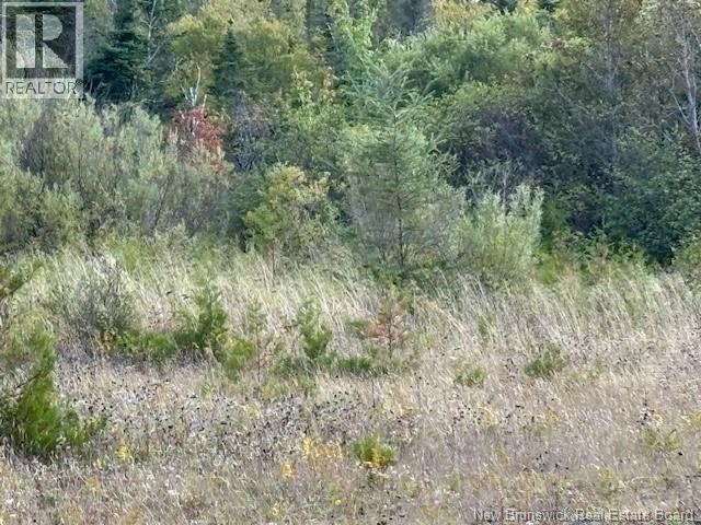 0 Latimore Lake Road, Saint John, New Brunswick  E2N 1X3 - Photo 9 - NB126714