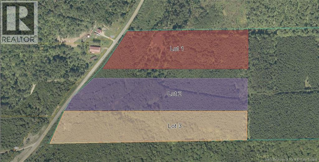 0 Knowlesville Road, Knowlesville, New Brunswick E7L 4S3 - Photo 1 - NB126809