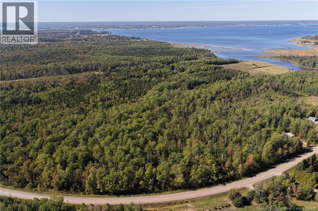 Lot 1 Route 530, Grande-Digue, New Brunswick E4R 5P8 - Photo 4 - NB126817