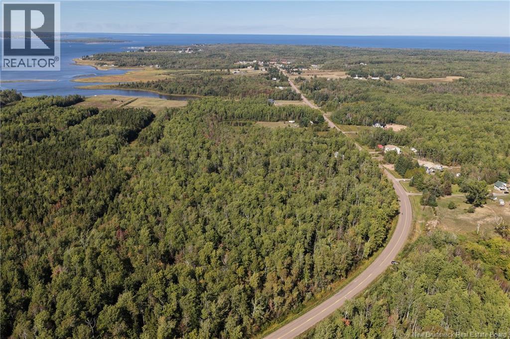 Lot 1 Route 530, Grande-Digue, New Brunswick E4R 5P8 - Photo 7 - NB126817