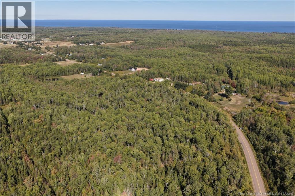 Lot 1 Route 530, Grande-Digue, New Brunswick E4R 5P8 - Photo 8 - NB126817