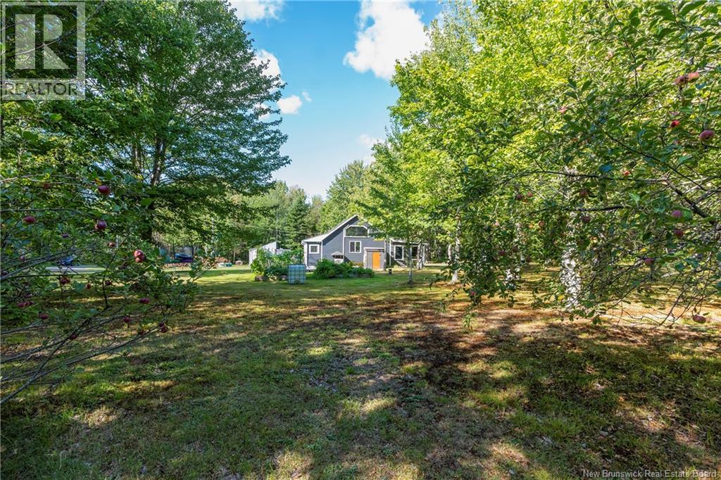 553 Salem Road, Havelock, New Brunswick  E4Z 5R9 - Photo 46 - NB126740
