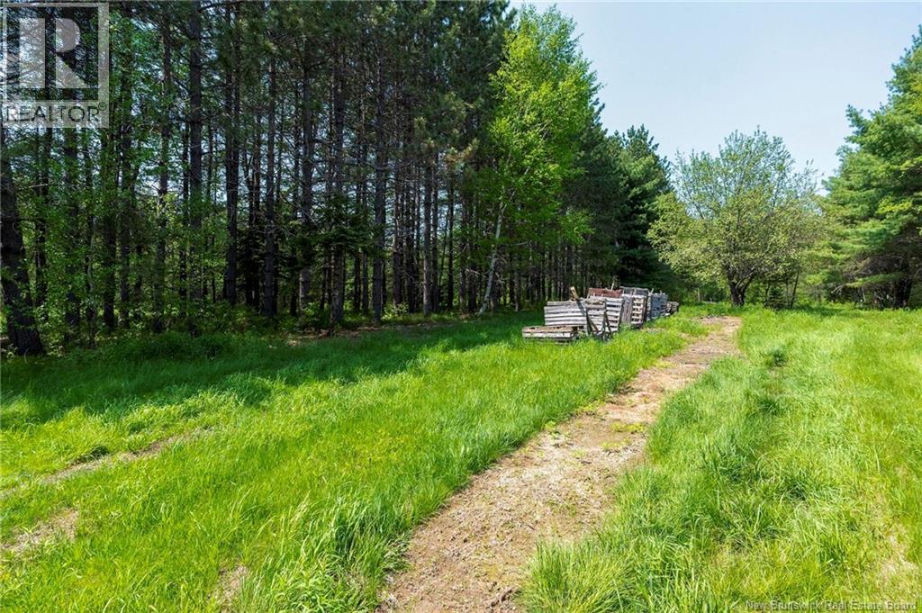 3180 Saint Charles Sud Road, Saint-Charles, New Brunswick  E4W 4Z3 - Photo 29 - NB126913