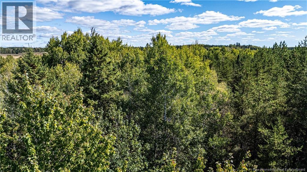 Lot 79-6 De La Traverse, Saint-Paul, New Brunswick  E4T 3M6 - Photo 1 - NB126175