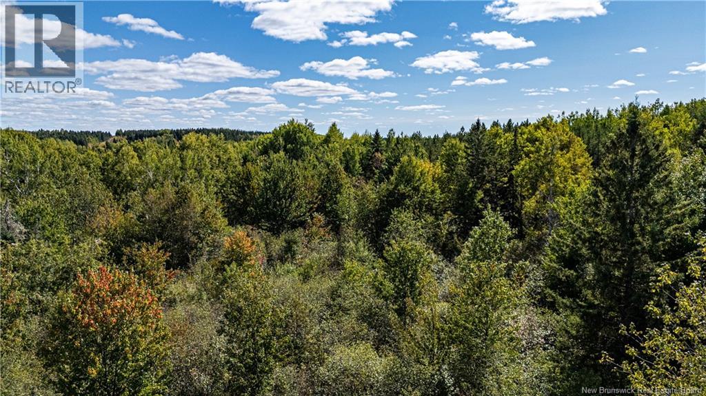 Lot 79-6 De La Traverse, Saint-Paul, New Brunswick  E4T 3M6 - Photo 15 - NB126175