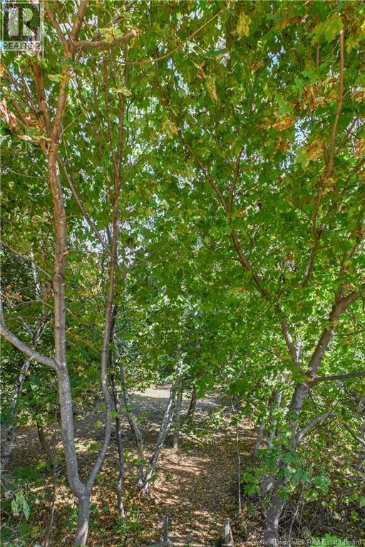 25 Rue Du Portage Street, Caraquet, New Brunswick  E1W 1A8 - Photo 9 - NB126975