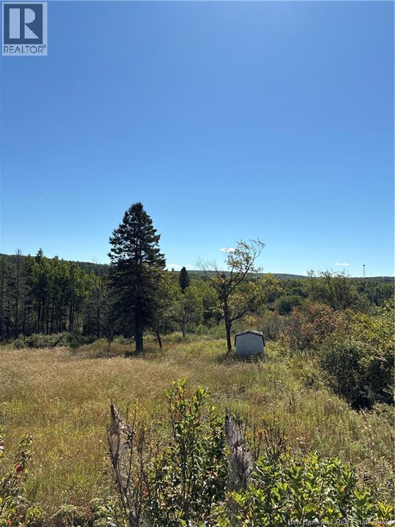 Lot 01-1 Route 121, Riverbank, New Brunswick  E5T 4Z5 - Photo 3 - NB126996