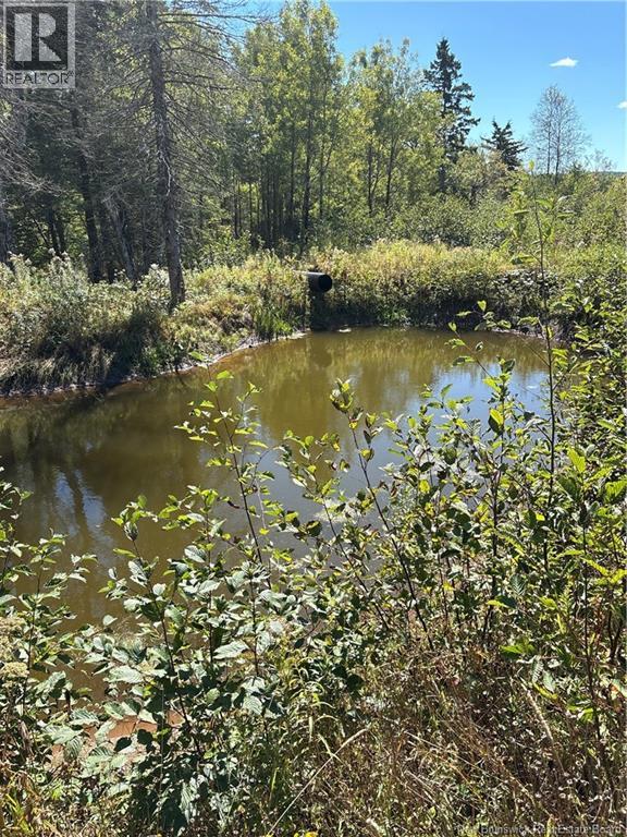 Lot 01-1 Route 121, Riverbank, New Brunswick  E5T 4Z5 - Photo 4 - NB126996