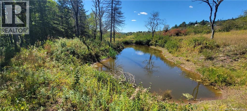 Lot 01-1 Route 121, Riverbank, New Brunswick  E5T 4Z5 - Photo 7 - NB126996