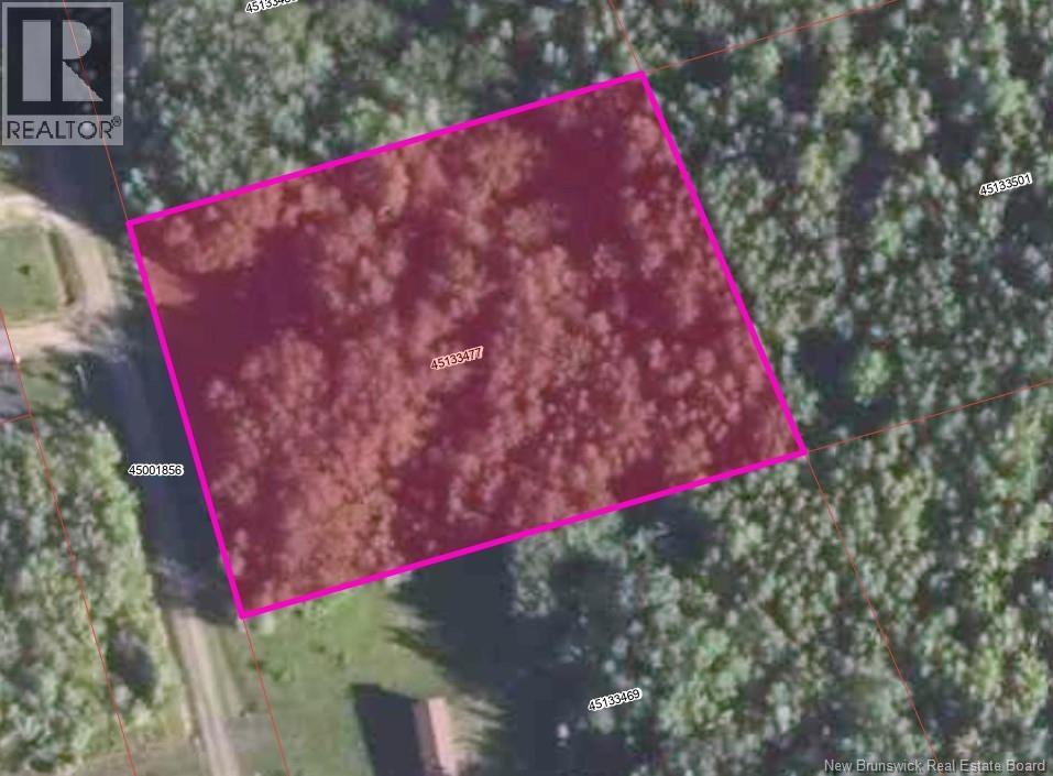 56 Vacation Lane, South Canaan, New Brunswick E4Z 3R9 - Photo 11 - NB126916