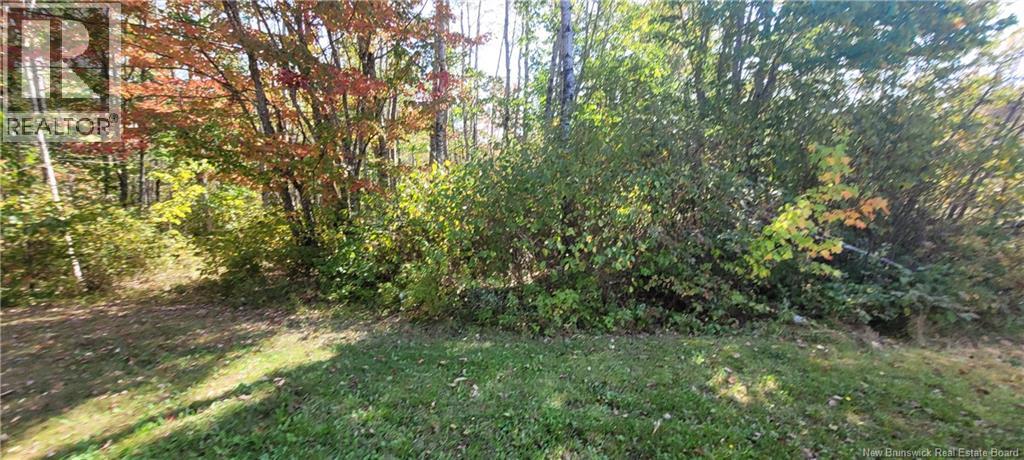 56 Vacation Lane, South Canaan, New Brunswick E4Z 3R9 - Photo 8 - NB126916