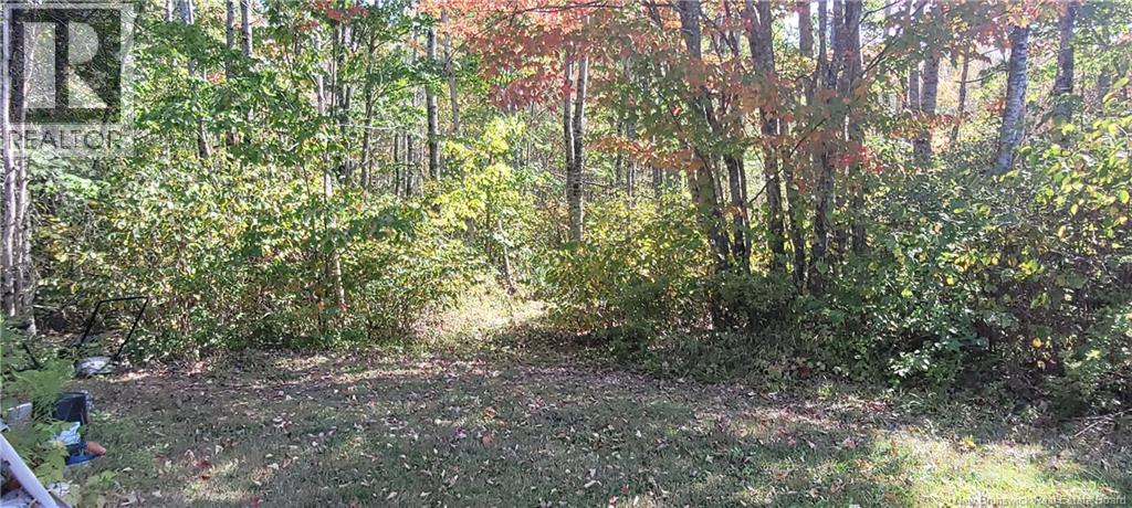 56 Vacation Lane, South Canaan, New Brunswick E4Z 3R9 - Photo 9 - NB126916