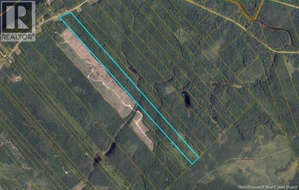 Woodlot Route 118, Chelmsford, New Brunswick  E9E 2H2 - Photo 1 - NB127012