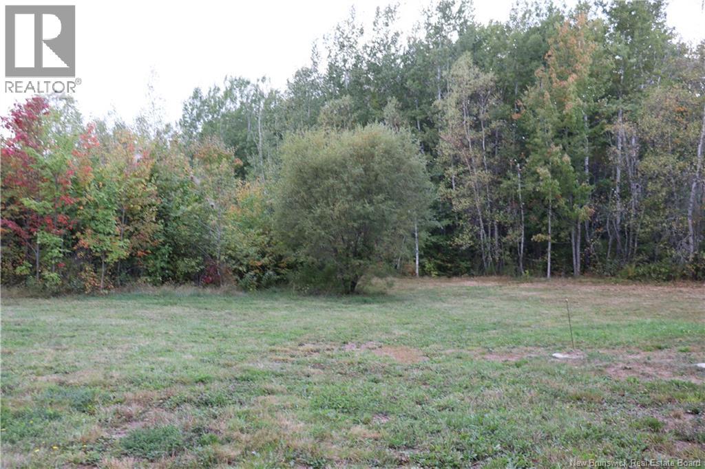 11314 10 Route, Coles Island, New Brunswick  E4C 2P7 - Photo 28 - NB127098