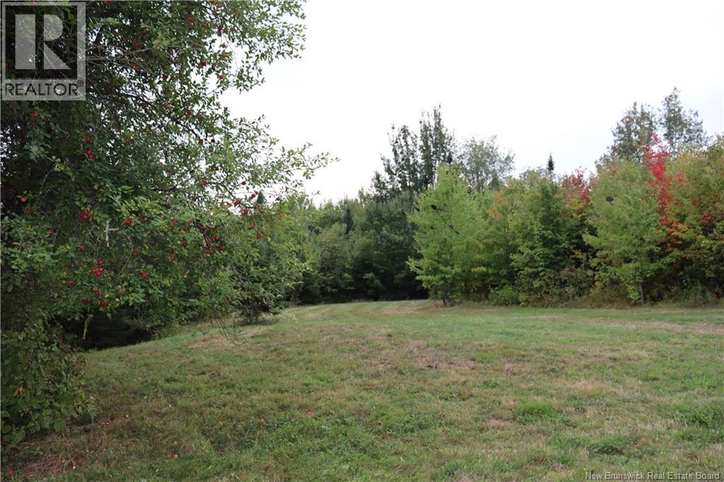 11314 10 Route, Coles Island, New Brunswick  E4C 2P7 - Photo 29 - NB127098