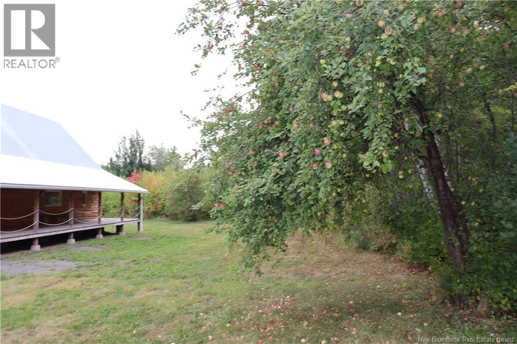11314 10 Route, Coles Island, New Brunswick  E4C 2P7 - Photo 6 - NB127098