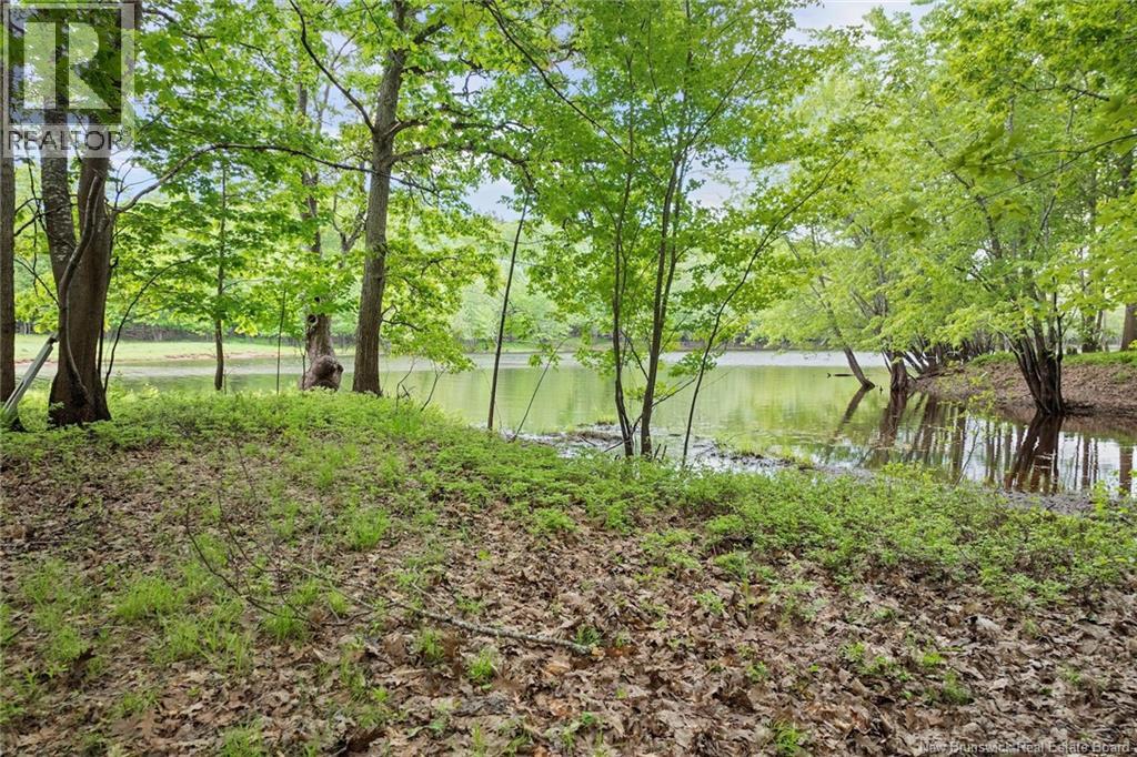 2038 Route 690, Douglas Harbour, New Brunswick  E4B 1Y7 - Photo 6 - NB127072