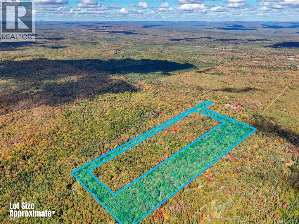 Lot Gullison Lane, Scotch Lake, New Brunswick E6E 0A3 - Photo 11 - NB126580