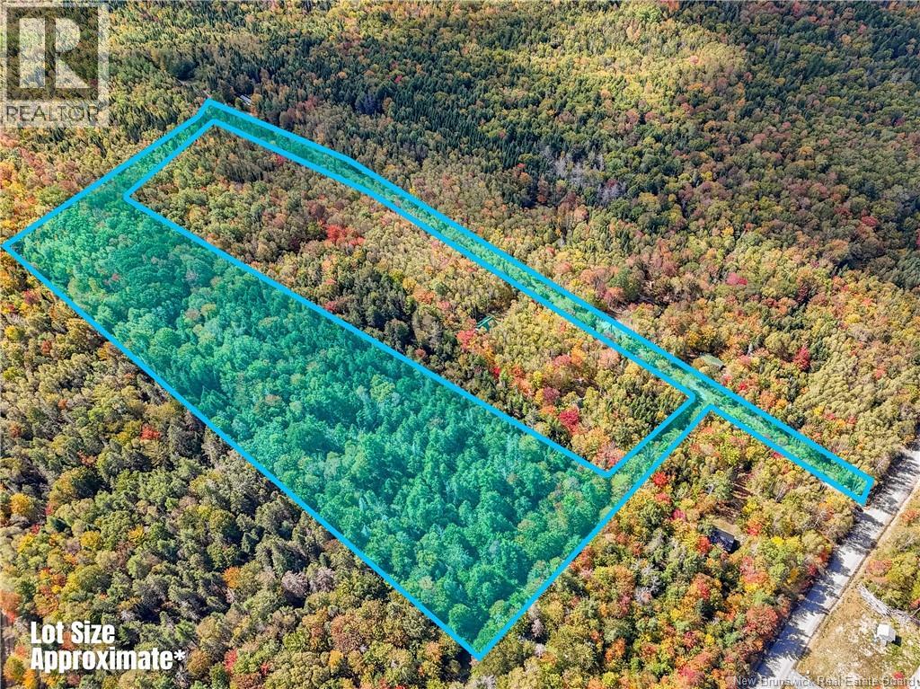 Lot Gullison Lane, Scotch Lake, New Brunswick E6E 0A3 - Photo 12 - NB126580