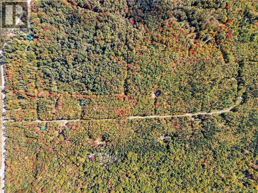 Lot Gullison Lane, Scotch Lake, New Brunswick E6E 0A3 - Photo 3 - NB126580