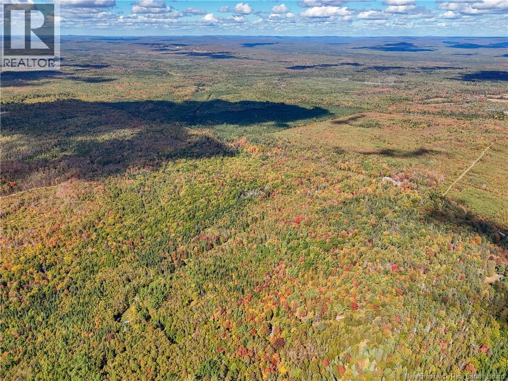 Lot Gullison Lane, Scotch Lake, New Brunswick E6E 0A3 - Photo 5 - NB126580