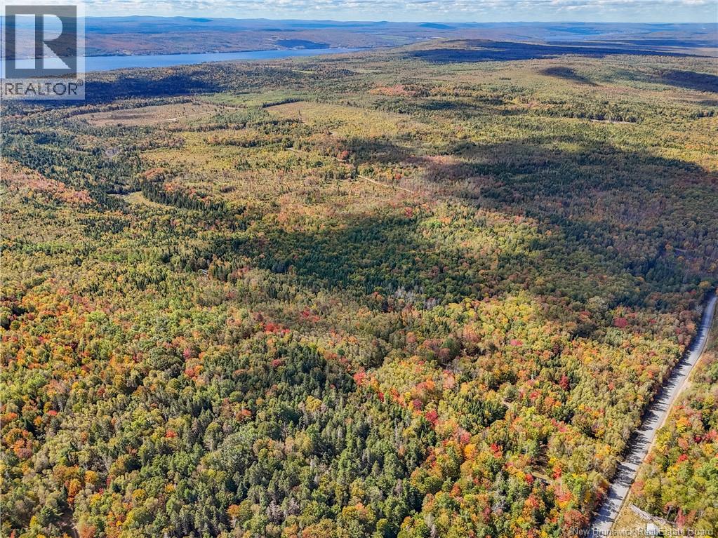 Lot Gullison Lane, Scotch Lake, New Brunswick E6E 0A3 - Photo 6 - NB126580