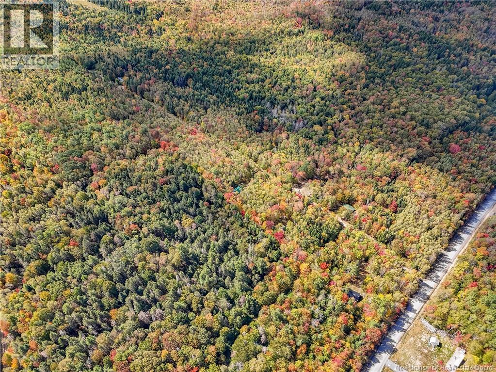 Lot Gullison Lane, Scotch Lake, New Brunswick E6E 0A3 - Photo 7 - NB126580