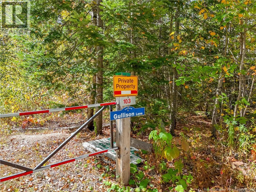 Lot Gullison Lane, Scotch Lake, New Brunswick E6E 0A3 - Photo 8 - NB126580