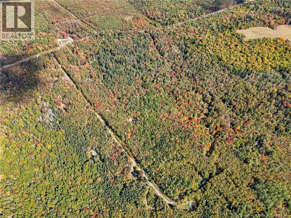 Lot Gullison Lane, Scotch Lake, New Brunswick E6E 0A3 - Photo 9 - NB126580