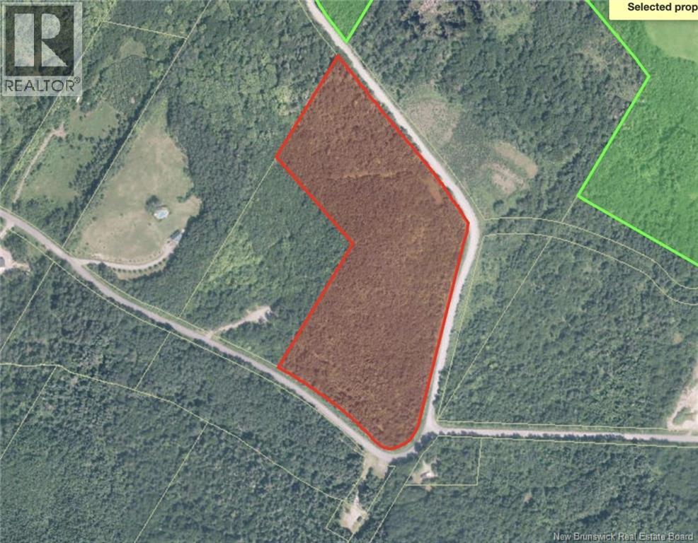 0000 Rang 5 Road, Edmundston, New Brunswick  E7C 2B4 - Photo 1 - NB127237