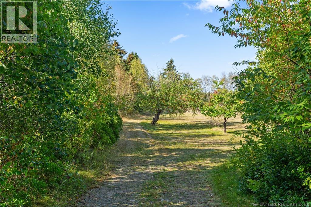 214 Allee De L'ecole, Grande-Digue, New Brunswick  E4R 3S2 - Photo 15 - NB127053