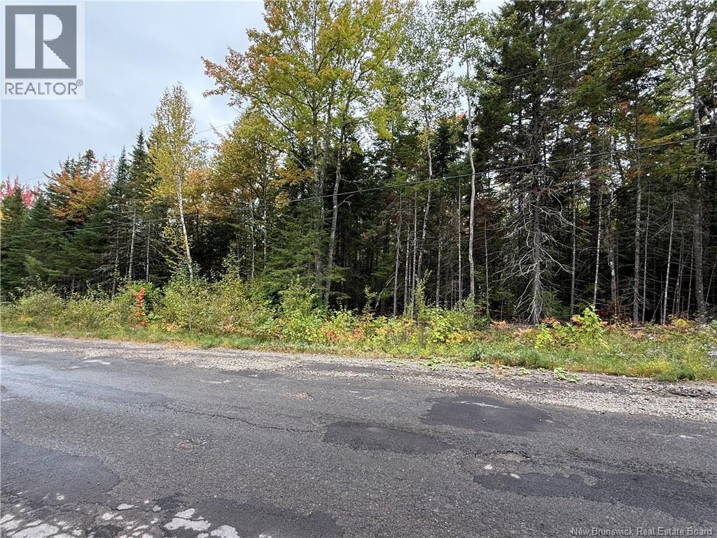 Lot Nickerson Point Road, Wickham, New Brunswick  E4C 6C2 - Photo 1 - NB127277