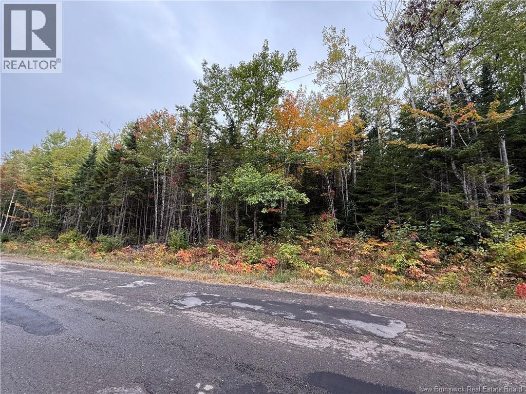 Lot Nickerson Point Road, Wickham, New Brunswick  E4C 6C2 - Photo 1 - NB127276