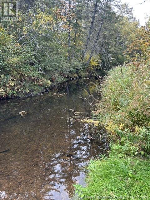 0 885 Route, Kinnear Settlement, New Brunswick  E4Z 5A1 - Photo 11 - NB127323