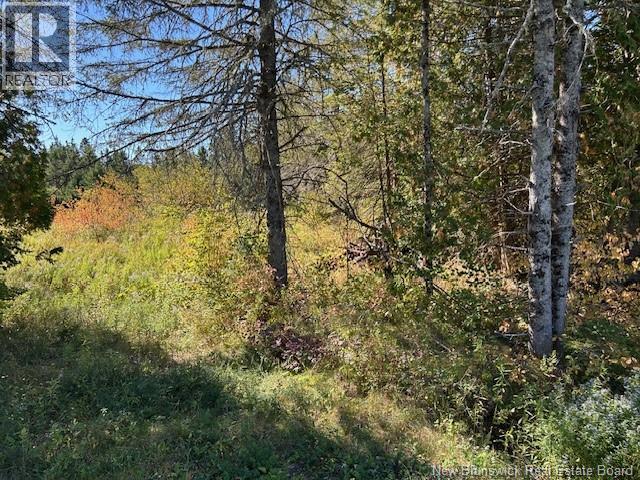 0 885 Route, Kinnear Settlement, New Brunswick  E4Z 5A1 - Photo 14 - NB127323
