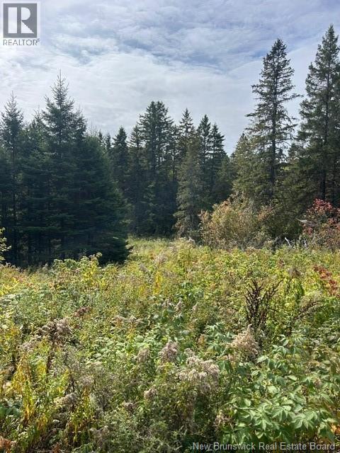 0 885 Route, Kinnear Settlement, New Brunswick  E4Z 5A1 - Photo 5 - NB127323