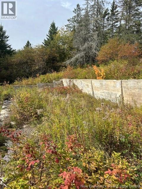 0 885 Route, Kinnear Settlement, New Brunswick  E4Z 5A1 - Photo 7 - NB127323