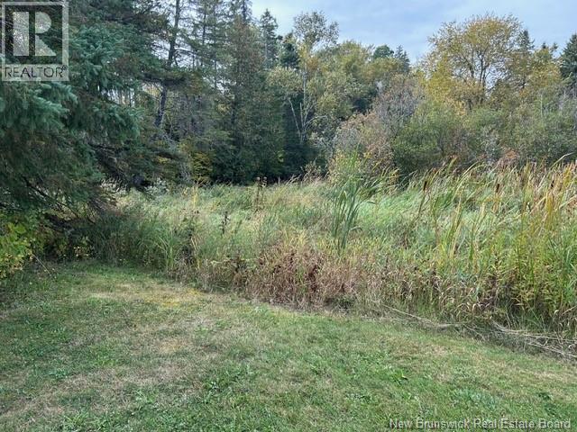 0 885 Route, Kinnear Settlement, New Brunswick  E4Z 5A1 - Photo 9 - NB127323