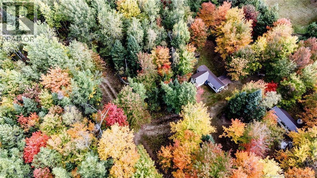 Camp Ch Camerons Mills Cross, Saint-Ignace, New Brunswick  E4X 2J5 - Photo 21 - NB126961