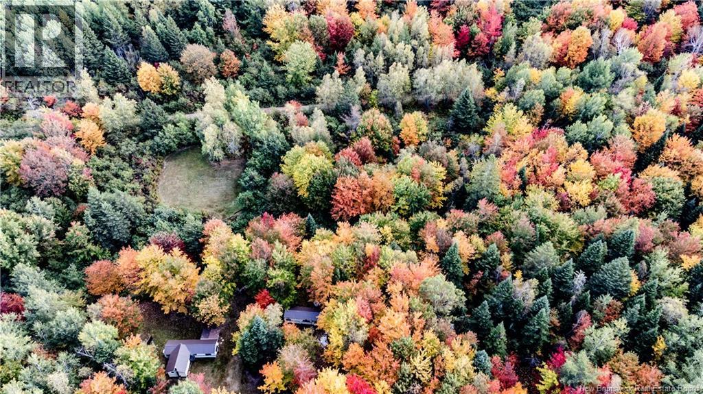 Camp Ch Camerons Mills Cross, Saint-Ignace, New Brunswick  E4X 2J5 - Photo 22 - NB126961