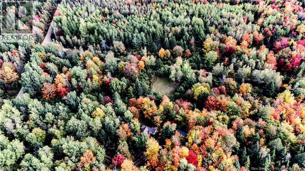 Camp Ch Camerons Mills Cross, Saint-Ignace, New Brunswick  E4X 2J5 - Photo 23 - NB126961