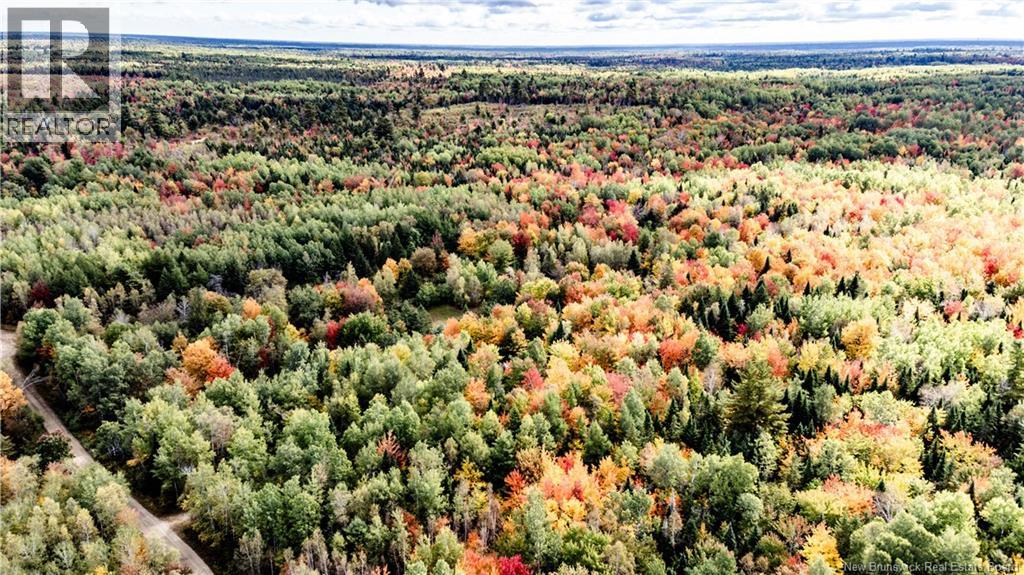 Camp Ch Camerons Mills Cross, Saint-Ignace, New Brunswick  E4X 2J5 - Photo 24 - NB126961