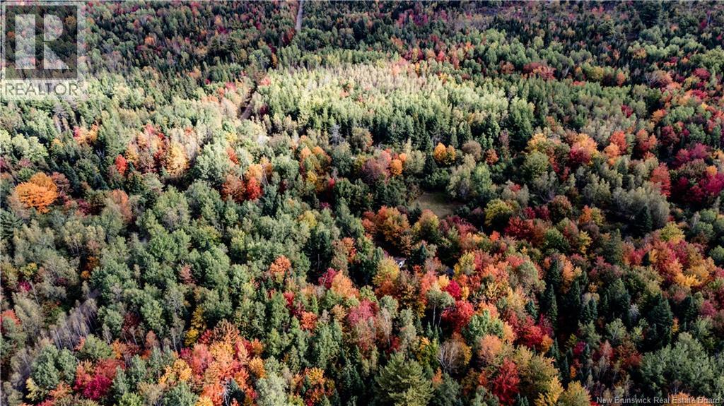 Camp Ch Camerons Mills Cross, Saint-Ignace, New Brunswick  E4X 2J5 - Photo 4 - NB126961
