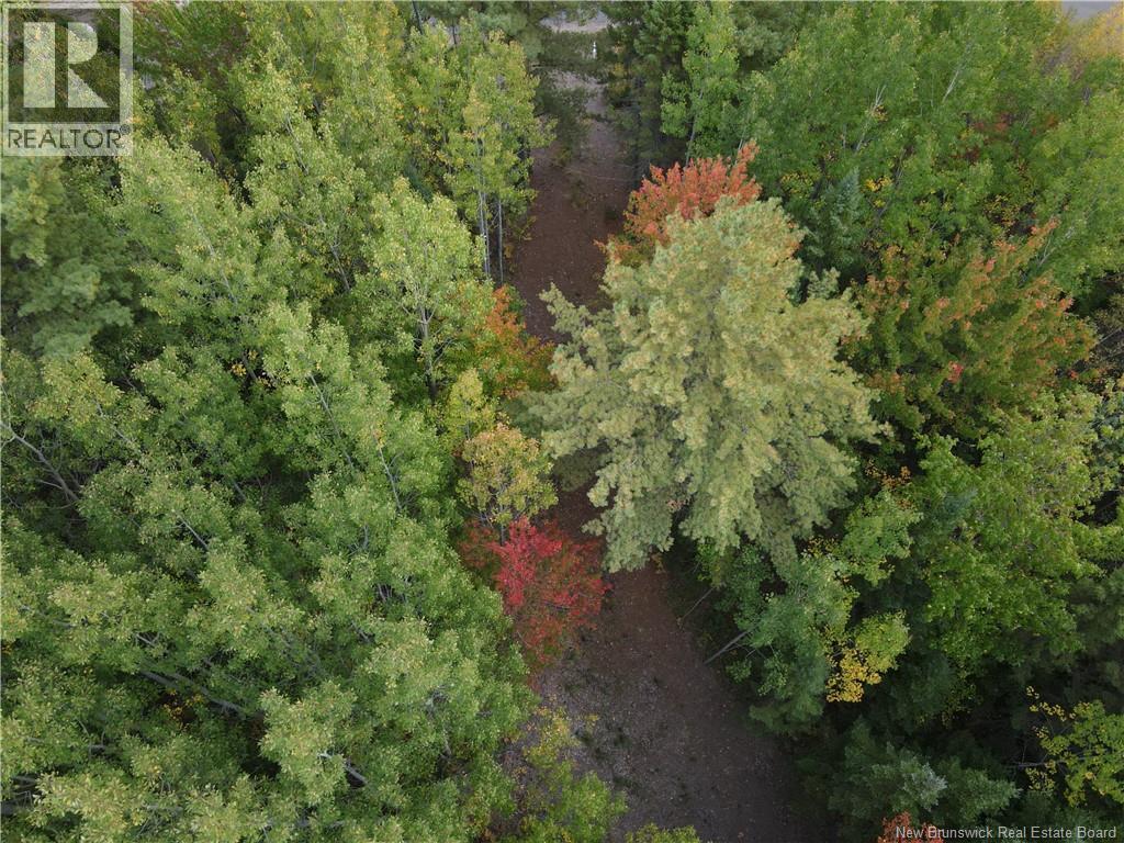 Lot Sunset View Lane, Youngs Cove, New Brunswick E4A 0B3 - Photo 9 - NB127175