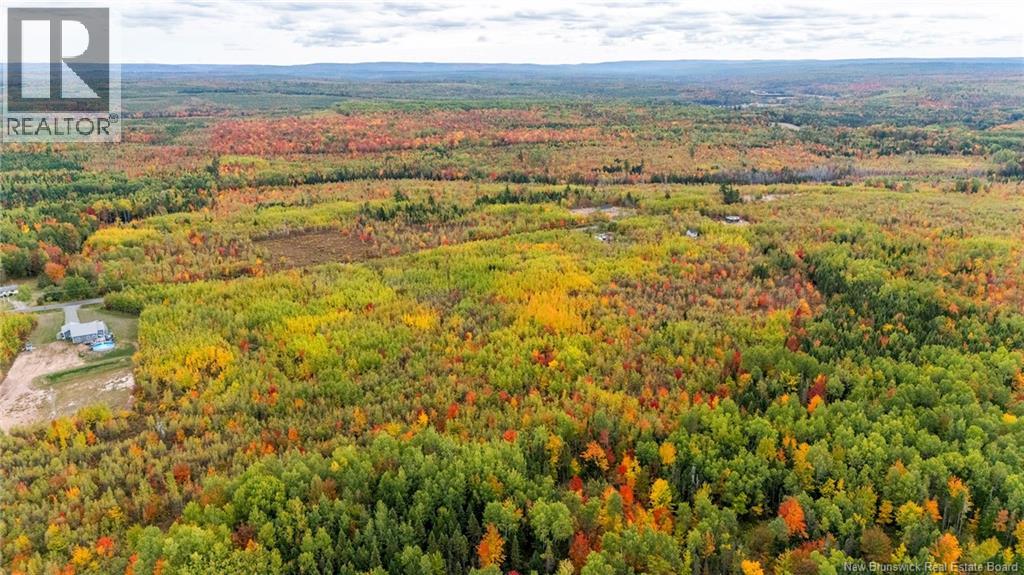 21-4 Middlesex, Colpitts Settlement, New Brunswick  E4J 1G7 - Photo 11 - NB127434