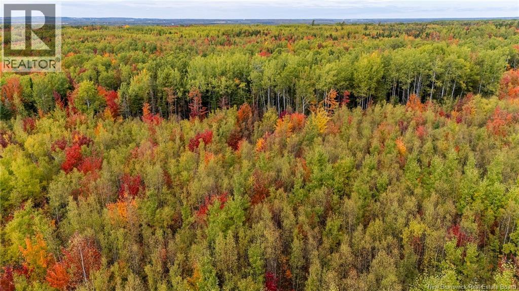 21-4 Middlesex, Colpitts Settlement, New Brunswick  E4J 1G7 - Photo 33 - NB127434