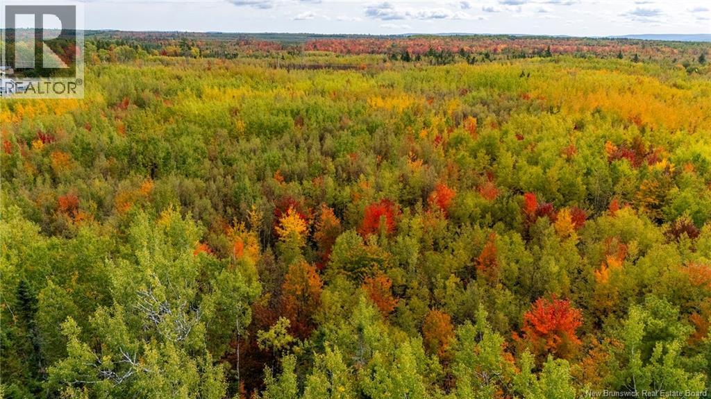 21-4 Middlesex, Colpitts Settlement, New Brunswick  E4J 1G7 - Photo 35 - NB127434