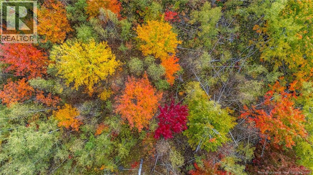 21-4 Middlesex, Colpitts Settlement, New Brunswick  E4J 1G7 - Photo 37 - NB127434