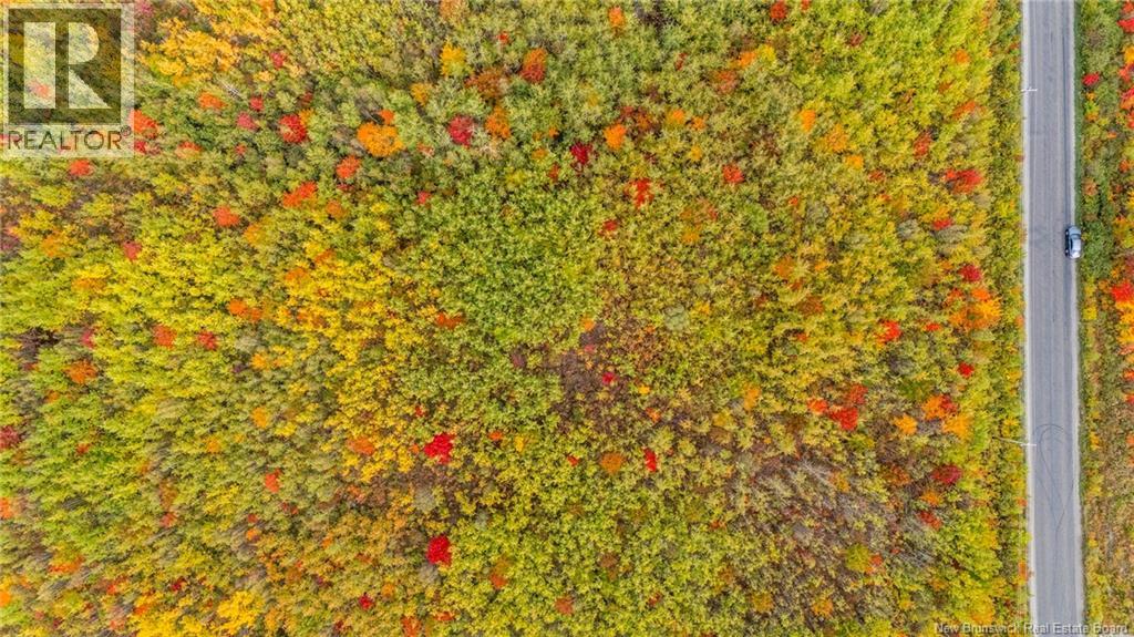 21-4 Middlesex, Colpitts Settlement, New Brunswick  E4J 1G7 - Photo 39 - NB127434